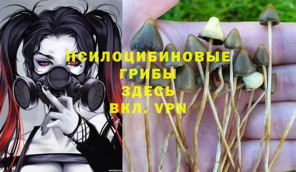 Альфа ПВП Богородск