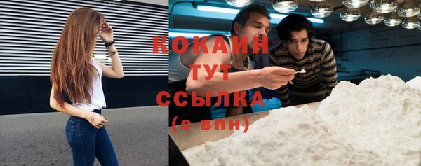 ALPHA PVP Богданович